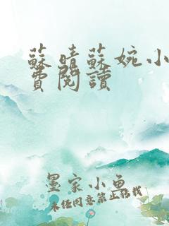 苏晴苏婉小说免费阅读