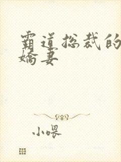 霸道总裁的甜心娇妻