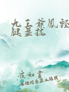 九王爷凤轻尘把腿并拢