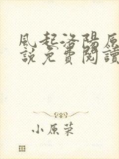 风起洛阳原著小说免费阅读