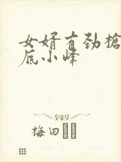 女婿有劲枪枪到底小峰