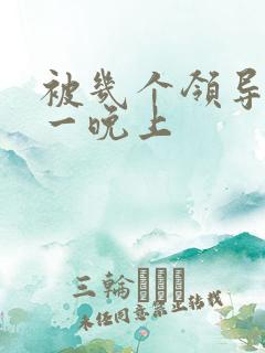 被几个领导玩弄一晚上