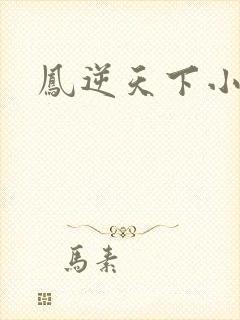 凤逆天下小说
