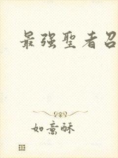 最强圣者召唤