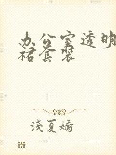 办公室透明半身裙套装