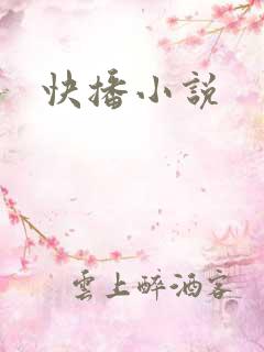 快播小说