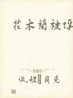 花木兰被俘奶