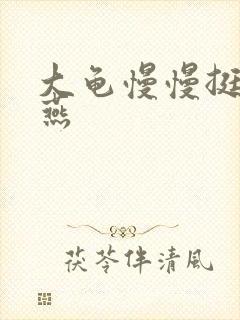 大龟慢慢挺进张燕