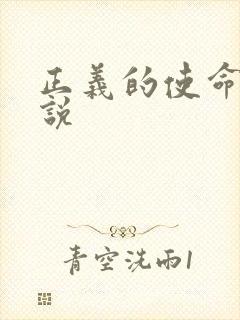 正义的使命 小说