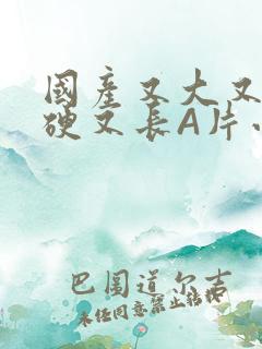 国产又大又粗又硬又长A片小说