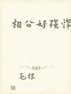 相公好强悍