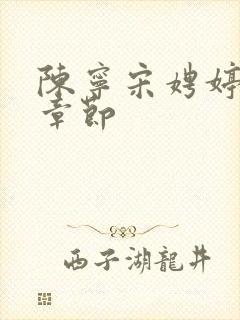 陈宁宋娉婷最新章节