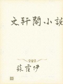文轩阁小说网