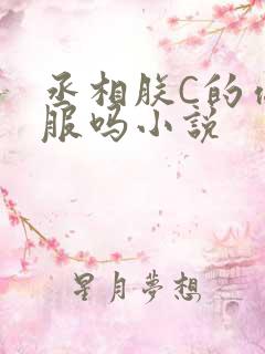 丞相朕C的你舒服吗小说