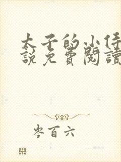 太子的小侍妾小说免费阅读全文