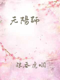 元阳师