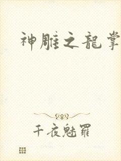 神雕之龙掌门