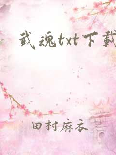 武魂txt下载