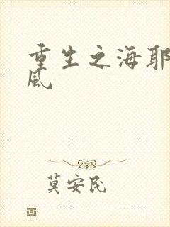 重生之海耶斯旋风