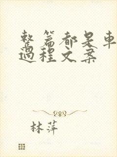 整篇都是车的肉过程文案