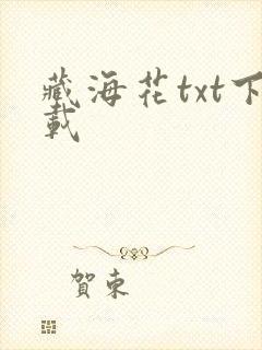 藏海花txt下载