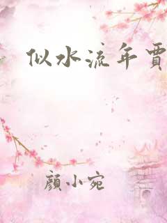 似水流年贾二虎