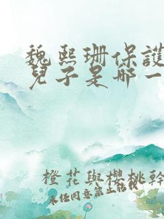 魏熙珊保护萧峥儿子是哪一集