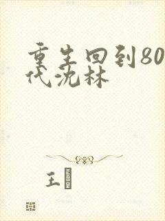 重生回到80年代沈林