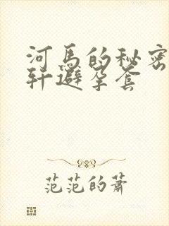 河马的秘密河文轩避孕套