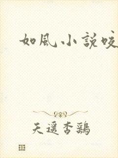 如风小说咬春饼