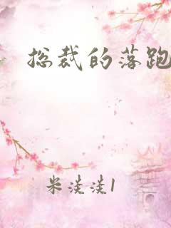 总裁的落跑情人