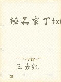 极品家丁txt