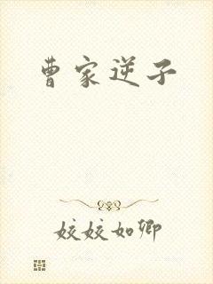 曹家逆子