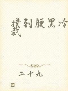 扑到腹黑冷面总裁