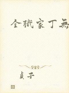 全职家丁无弹窗