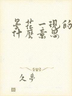 昙花一现的现是什么意思