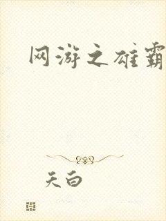 网游之雄霸天下