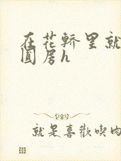 在花轿里就开始圆房h