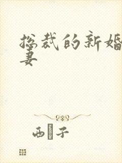 总裁的新婚下堂妻