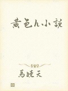 黄色h小说