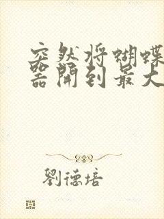 突然将蝴蝶遥控器开到最大