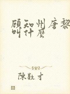 顾知州唐黎书名叫什么