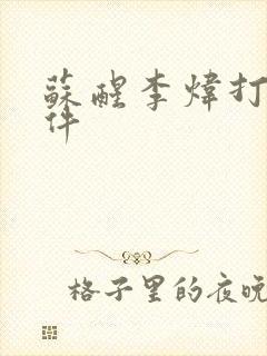 苏醒李炜打架事件