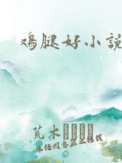 鸡腿好小说网