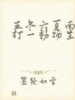 五冬六夏南北聚打一动物生肖