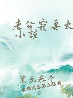 老公宠妻太甜蜜 小说