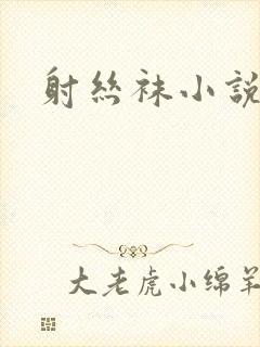 射丝袜小说
