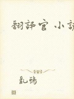 翻译官 小说