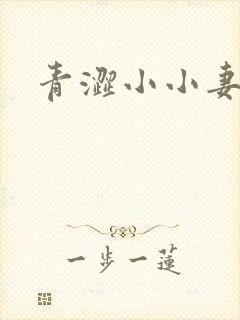 青涩小小妻
