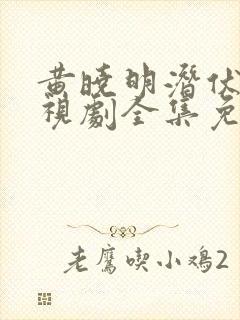 黄晓明潜伏者电视剧全集免费观看